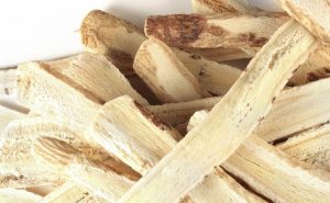 astragalus root