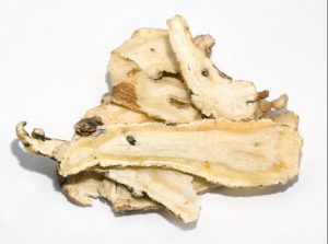 DangGui 